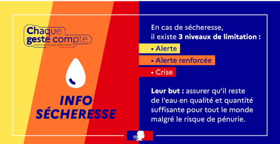 Image de l'article